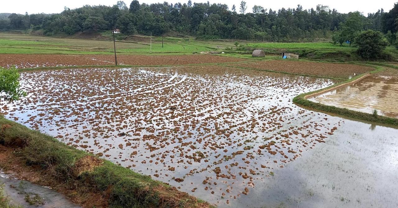 Coorg Coffee Park Farmstay Somvārpet Εξωτερικό φωτογραφία