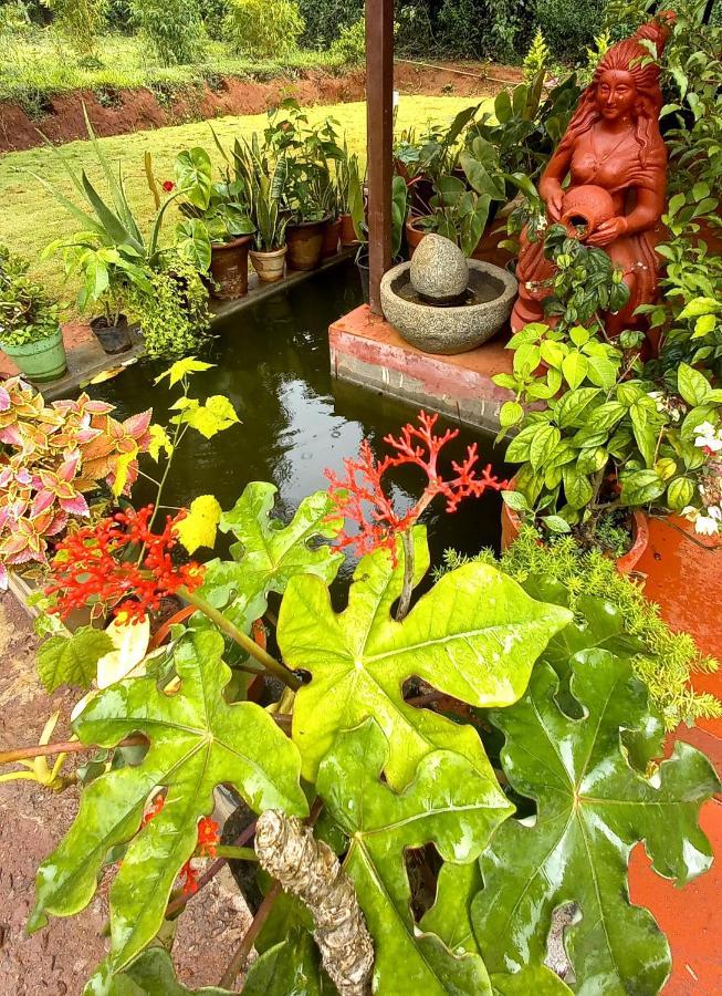 Coorg Coffee Park Farmstay Somvārpet Εξωτερικό φωτογραφία