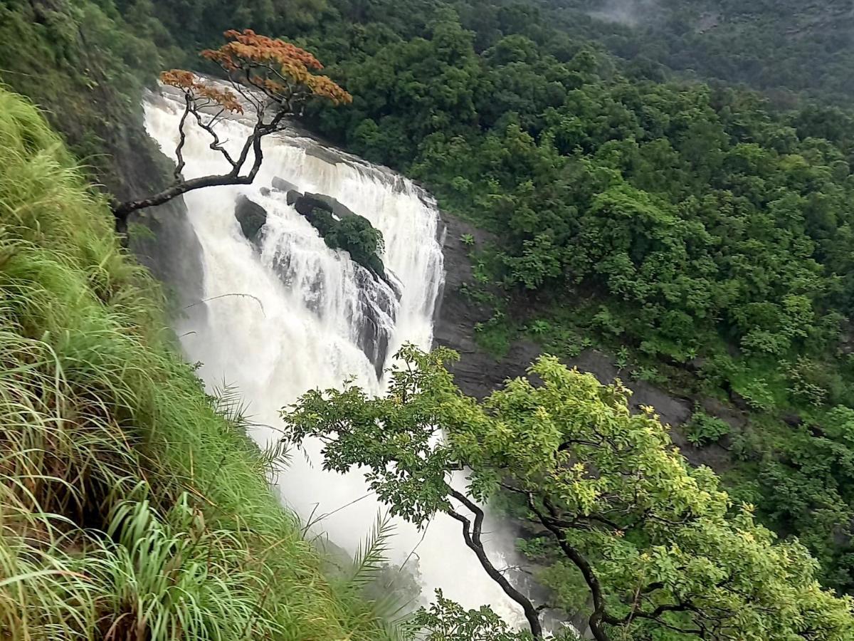 Coorg Coffee Park Farmstay Somvārpet Εξωτερικό φωτογραφία
