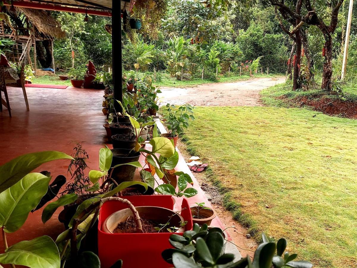 Coorg Coffee Park Farmstay Somvārpet Εξωτερικό φωτογραφία