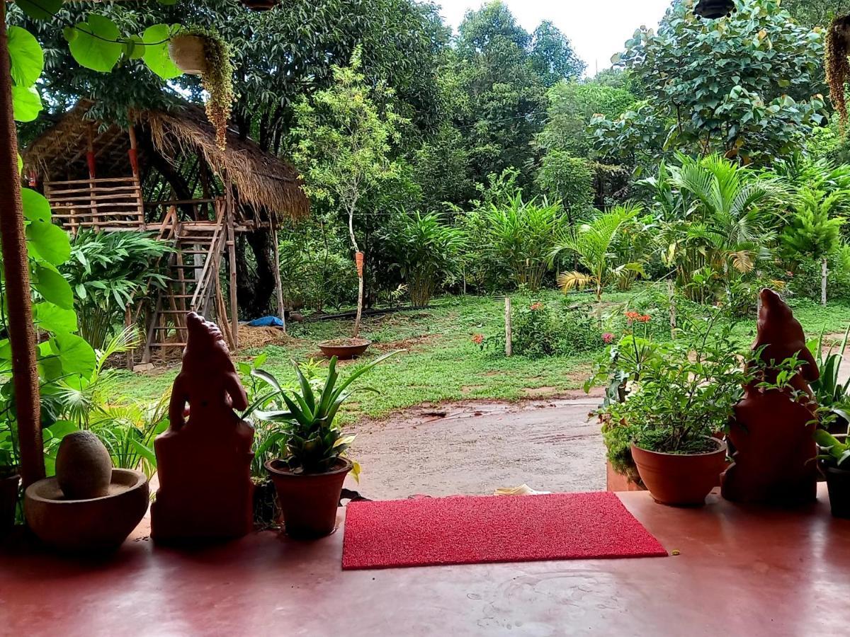 Coorg Coffee Park Farmstay Somvārpet Εξωτερικό φωτογραφία