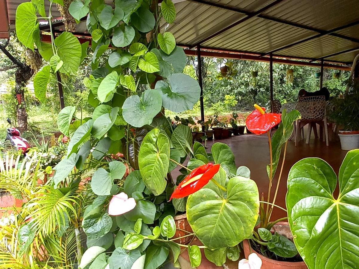 Coorg Coffee Park Farmstay Somvārpet Εξωτερικό φωτογραφία